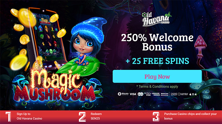 Old Havana Casino’s offer page with Magic Mushroom slot
